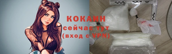 гидра Аркадак