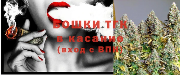 ешки Арсеньев