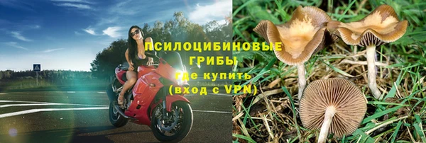 гидра Аркадак