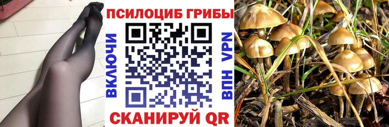 Псилоцибиновые грибы мицелий  Игарка 